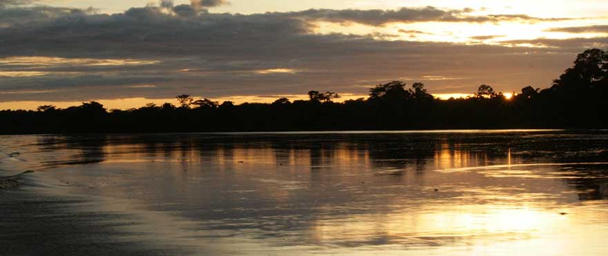 Comprometidos con el Ambiente